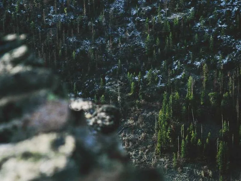 과천배수구막힘