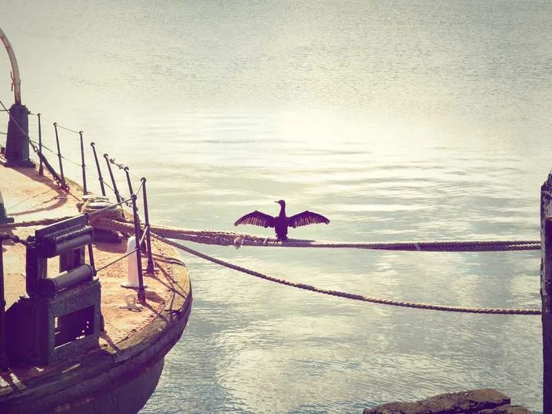 과천배수구막힘