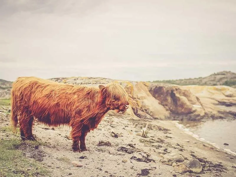 과천배수구막힘