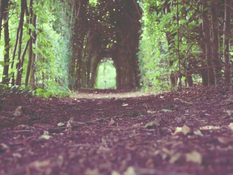 과천배수구막힘