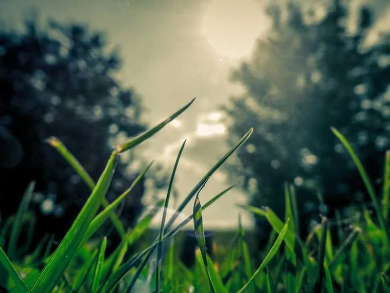 과천싱크대역류