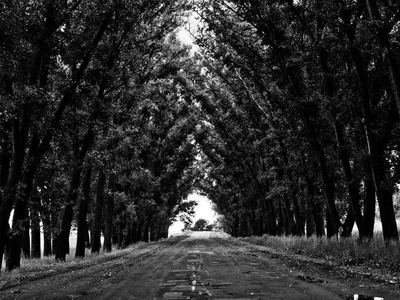 과천오수관막힘