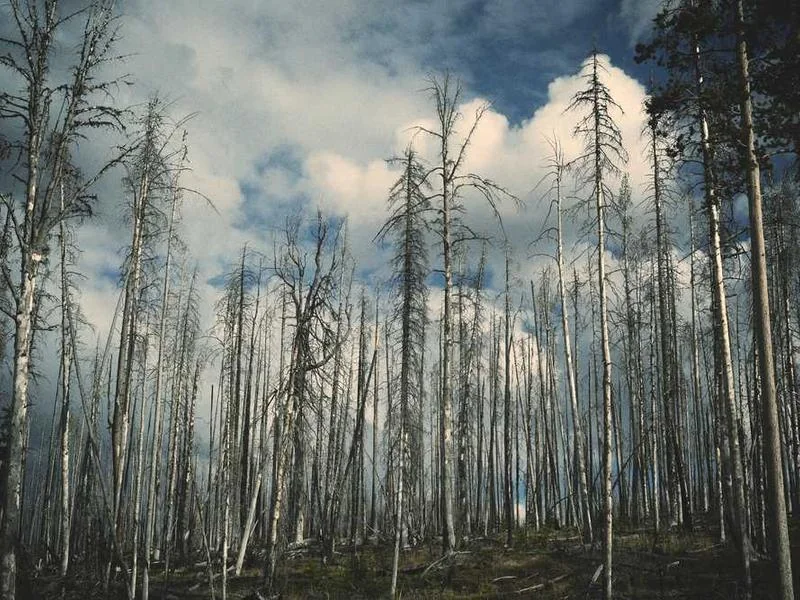 과천하수구뚫는업체