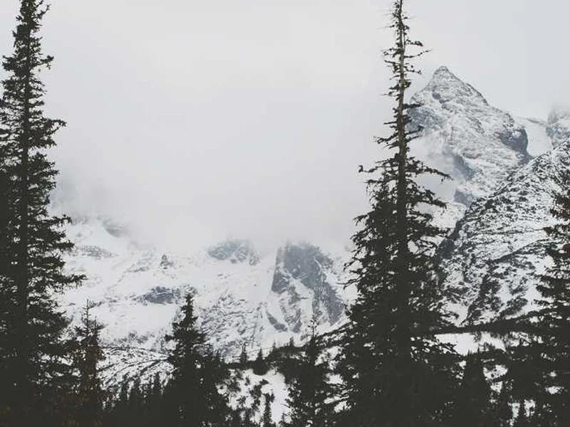 과천하수구뚫음