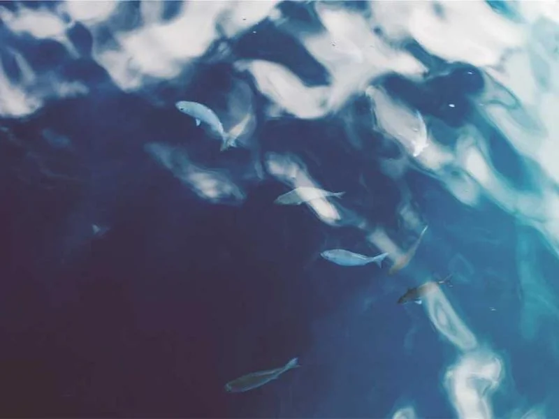 과천하수구막힘