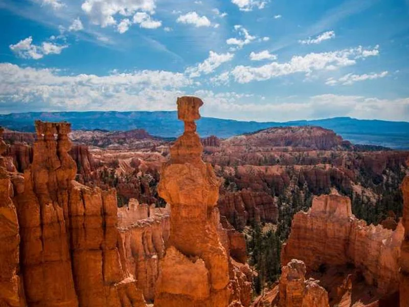 과천하수구막힘