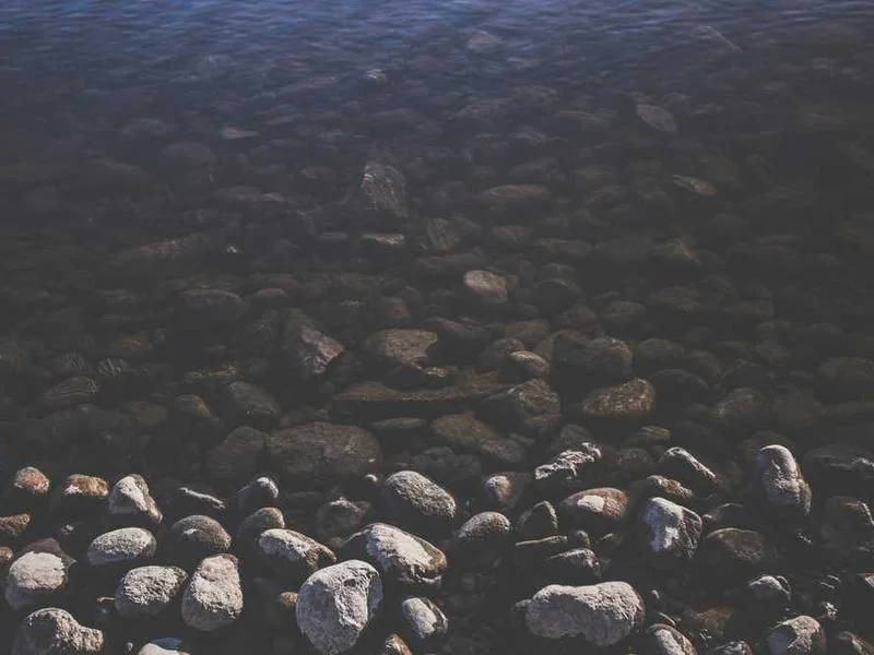 과천하수구역류