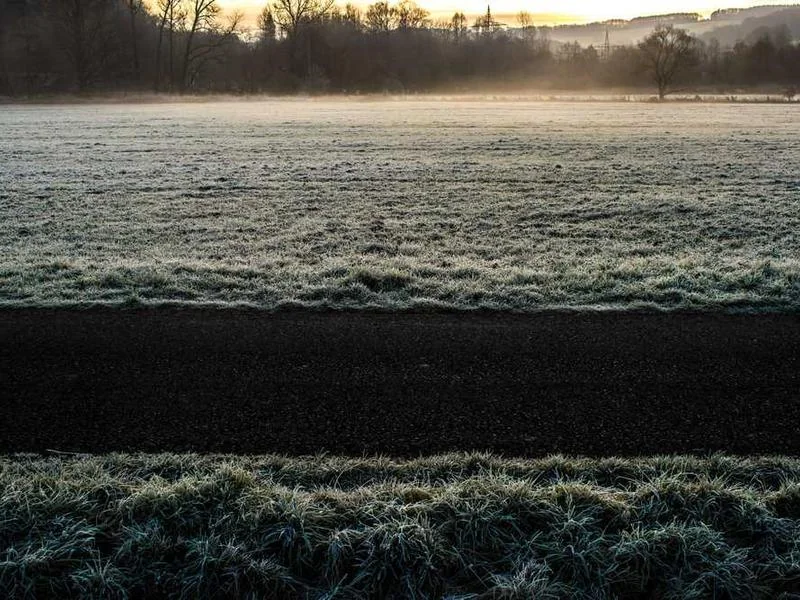 과천하수구역류